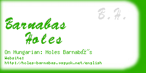 barnabas holes business card